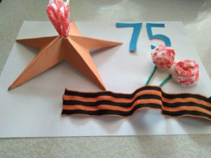 №157 Генатулина Алина